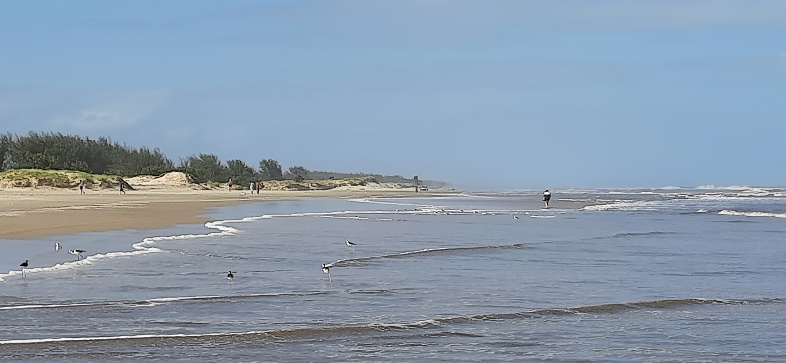 Praia Lagoinhas'in fotoğrafı çok temiz temizlik seviyesi ile