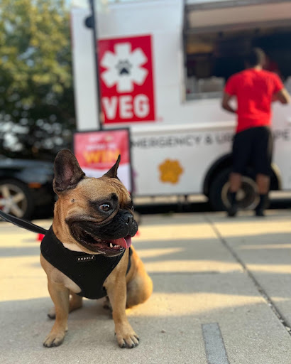 Veterinary Emergency Group image