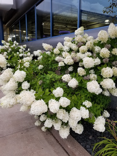 Furniture Store «Commercial Furniture Services», reviews and photos, 4301 Highway 7 # 200, St Louis Park, MN 55416, USA