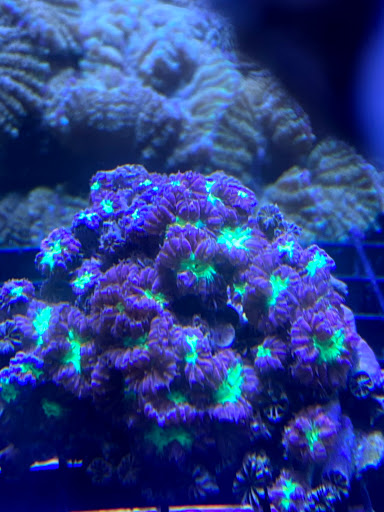 Pet Store «Woofs & Waves», reviews and photos, 5426 Arrowhead Pkwy E, Sioux Falls, SD 57110, USA