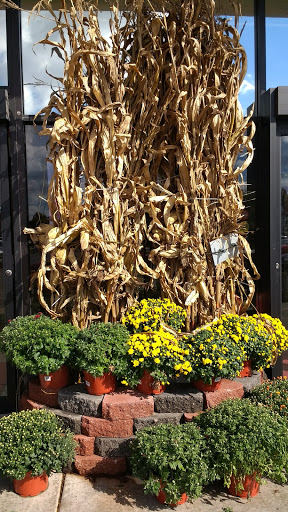 Hardware Store «Westlake Ace Hardware 032», reviews and photos, 2350 S Campbell Ave, Springfield, MO 65807, USA