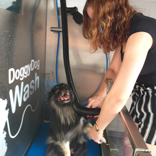 DoggyDog Wash Selfservice - Sint-Niklaas