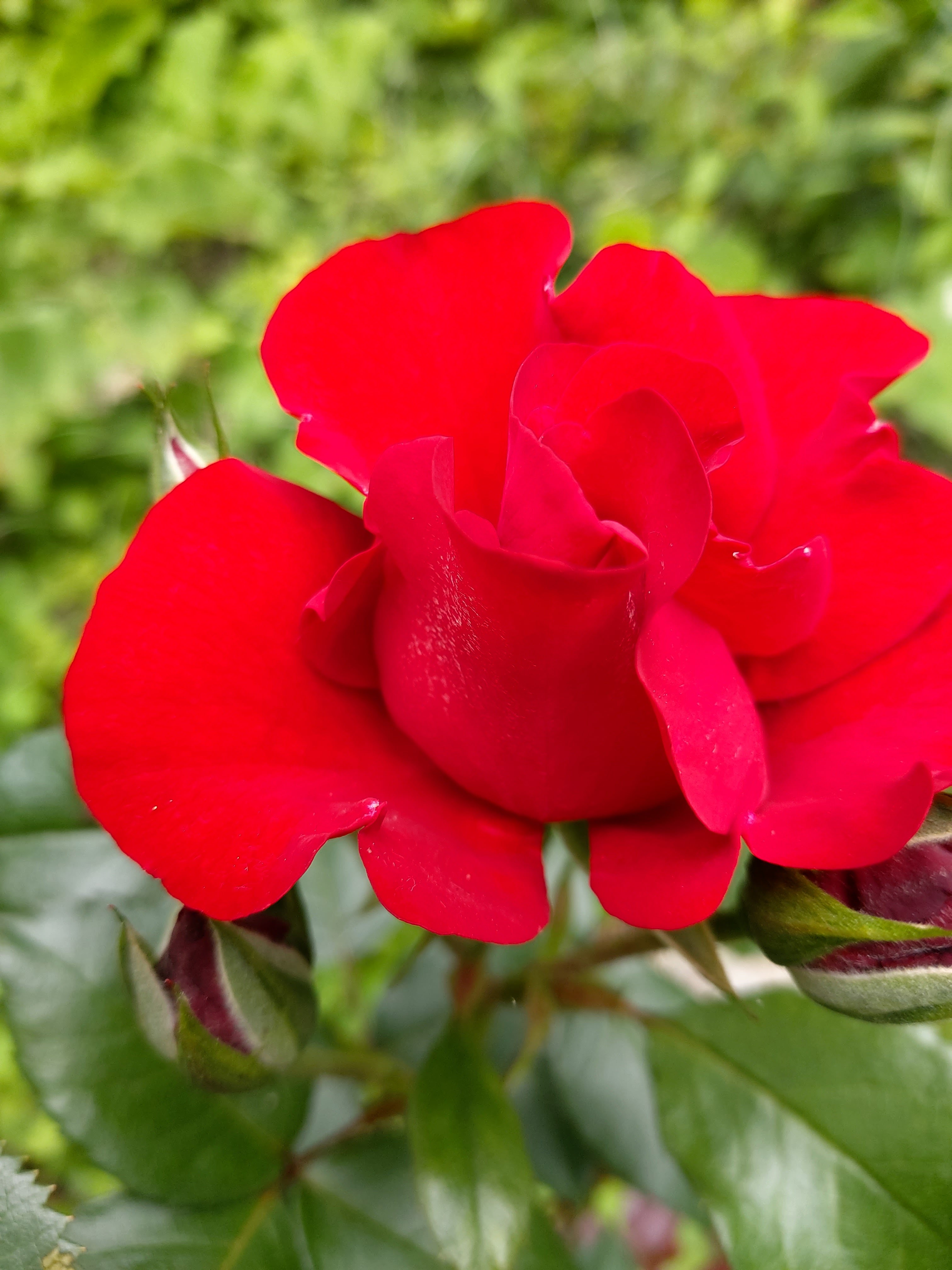 Photo n° 7 de l'avis de DJ.i fait le 12/06/2021 à 15:42