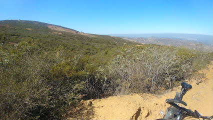 Tecate Cypress Stand Central Viewing Area