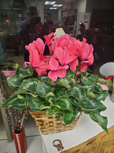 Florist «Up-Towne Flowers & Gift Shoppe», reviews and photos, 2145 W Dublin Granville Rd, Worthington, OH 43085, USA