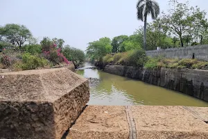 Wild Birds Watching Dhupdal Dam image