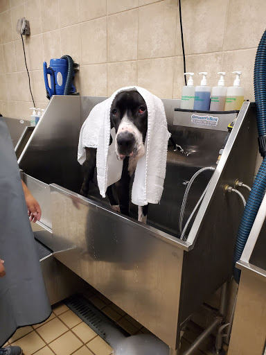 Pet Supply Store «Pet Supplies Plus», reviews and photos, 3801 S Cooper St, Arlington, TX 76015, USA