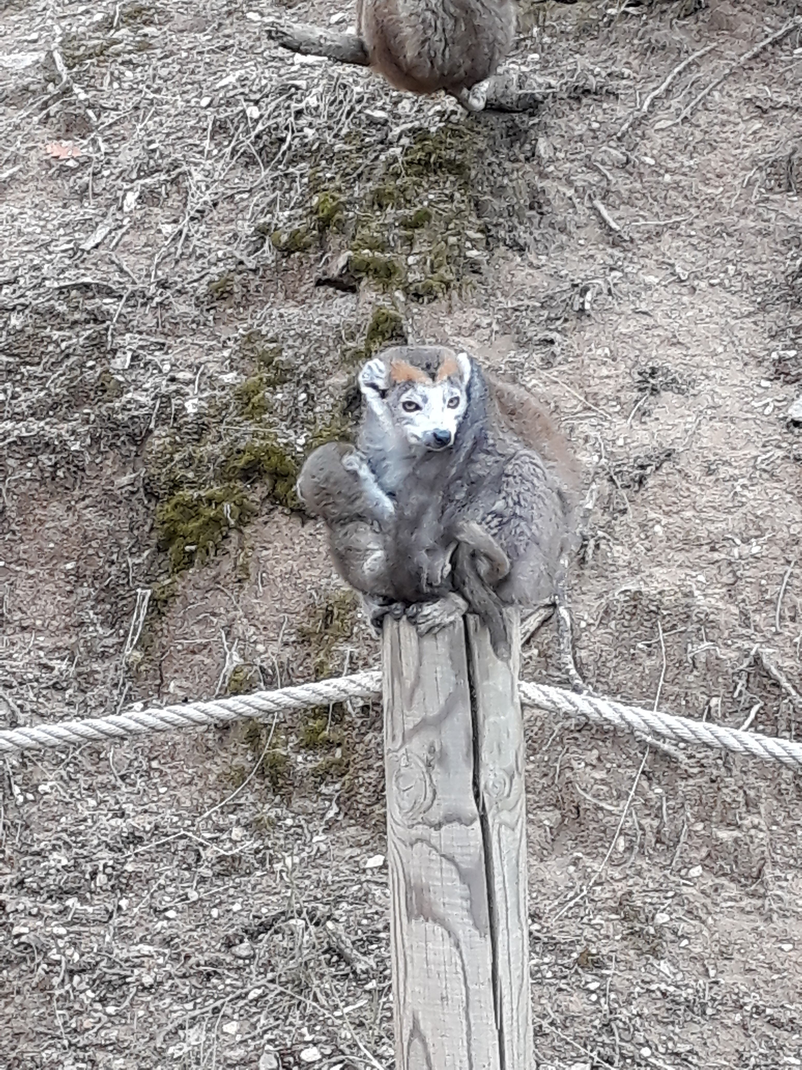 Photo n° 33 de l'avis de Stef.e fait le 15/08/2018 à 14:06