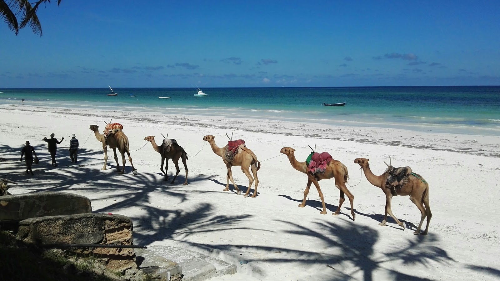 Foto de Galu Beach área de comodidades