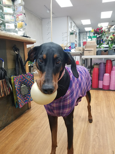 Florist «Cherry Blossoms Florist», reviews and photos, 9975 Wadsworth Pkwy F, Westminster, CO 80021, USA