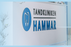 Tandkliniken Hammar - Tandläkare Kristianstad och Skåne image