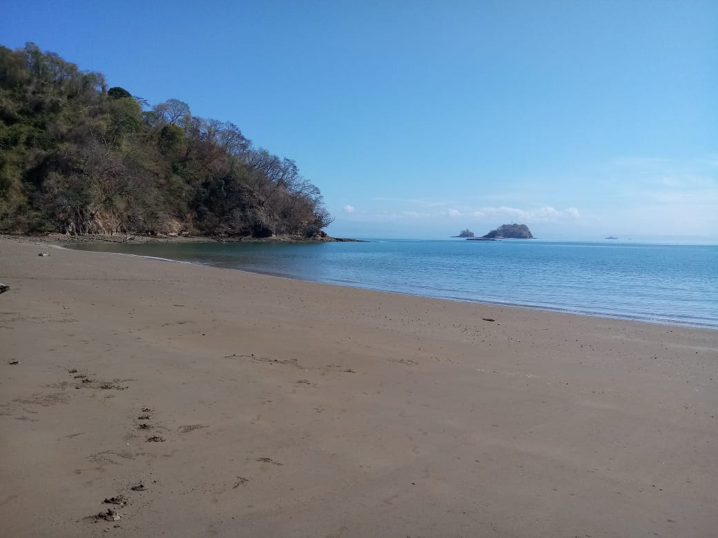 Playa Margarita'in fotoğrafı doğal alan içinde bulunmaktadır