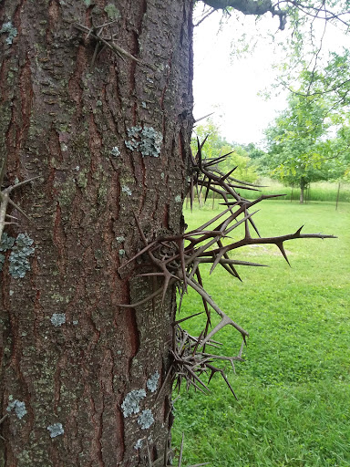 Nature Preserve «Wolf Creek Environmental Center», reviews and photos, 6100 Ridge Rd, Wadsworth, OH 44281, USA