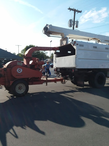 Discount Store «Dollar General», reviews and photos, 123 S West St, Tipton, IN 46072, USA