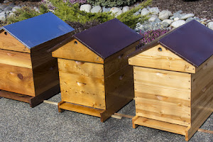 Bee Furniture