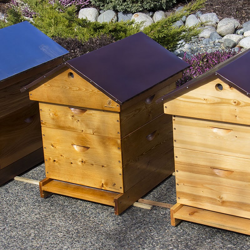 Bee Furniture