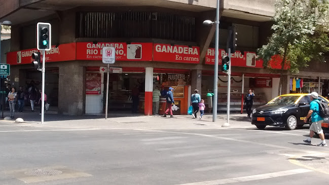 Ganadería Río Bueno - Puente Alto