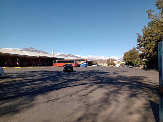 Opiniones de Terminal De Buses Los Andes en Los Andes - Mercado