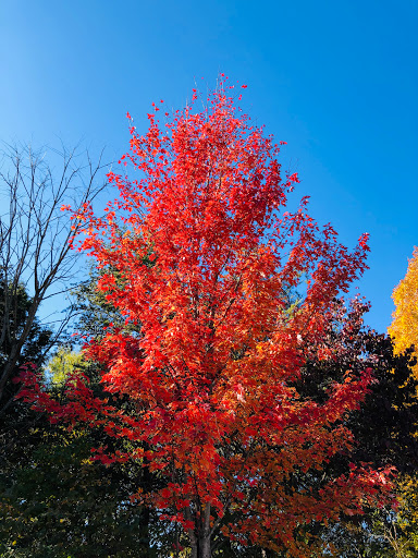 State Park «Bicentennial Capitol Mall State Park», reviews and photos, 600 James Robertson Pkwy, Nashville, TN 37243, USA
