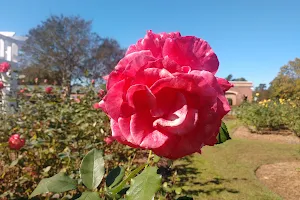 Fayetteville Rose Garden image
