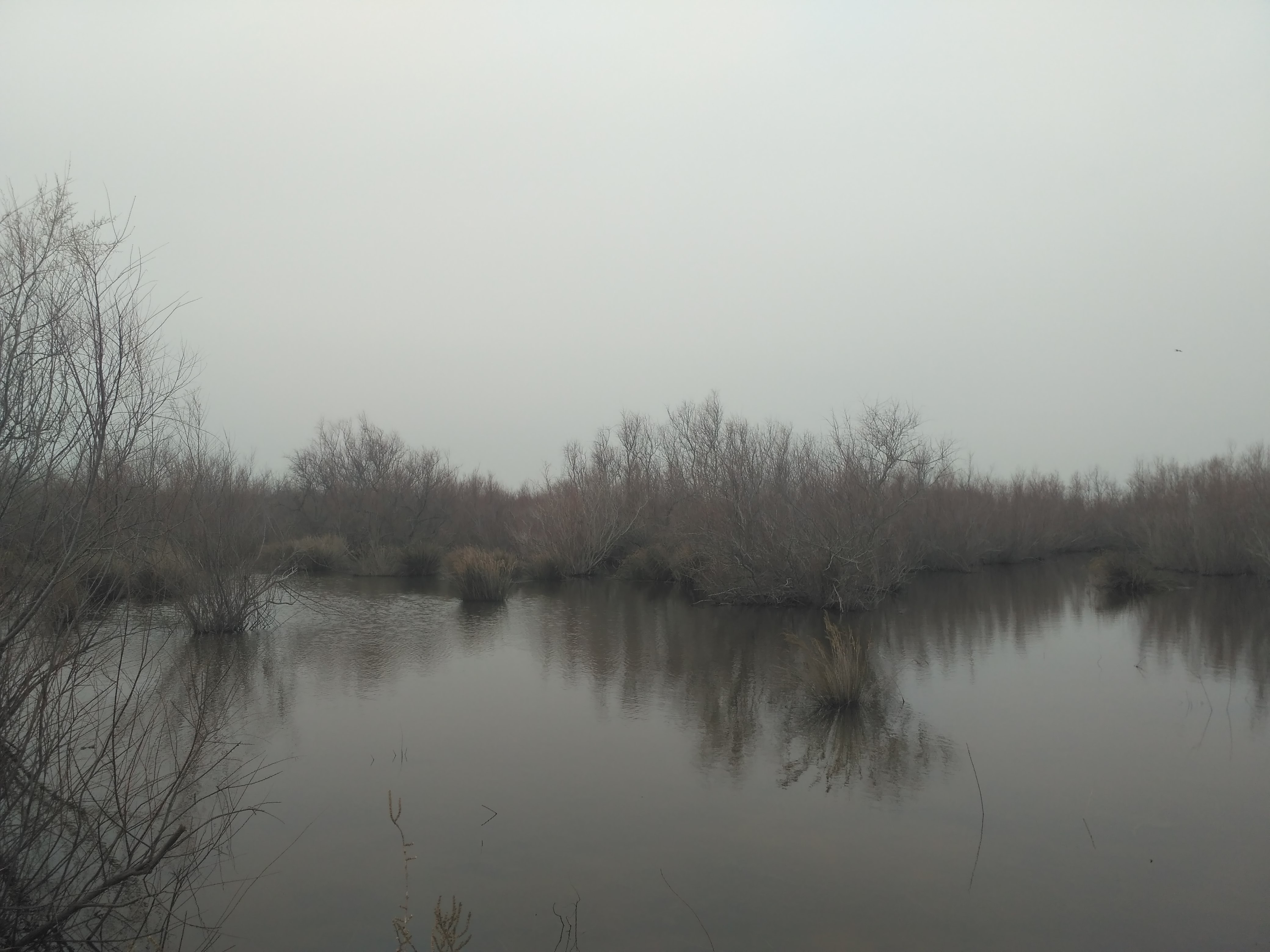 Photo n° 11 de l'avis de Cecile.a fait le 28/02/2018 à 20:50