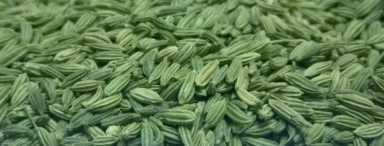 Mm Agro International