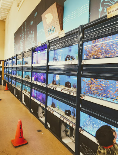 Pet Supply Store «Petco Animal Supplies», reviews and photos, 3426 Highland Ave B, National City, CA 91950, USA