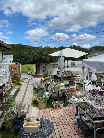 LahainaGarden