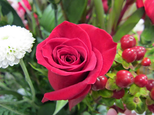 Florist «Village Flowers», reviews and photos, 28500 Miles Rd, Solon, OH 44139, USA