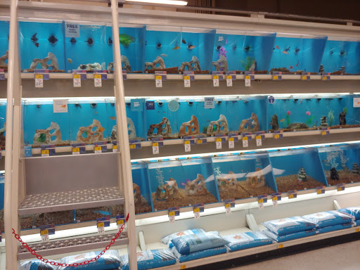 Pet Supply Store «PetSmart», reviews and photos, 10900 W Jefferson Blvd, Culver City, CA 90230, USA