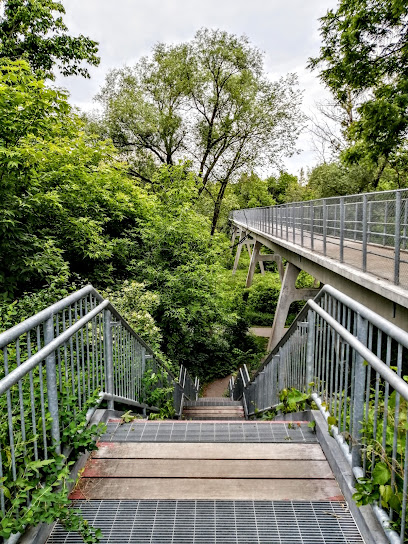 Stairway to Duncan Creek Recreation Trail