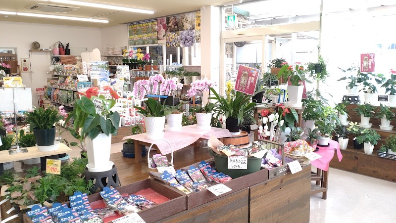 （株）田中種苗 北本町店