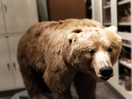 Planetarium «Fernbank Science Center», reviews and photos, 156 Heaton Park Dr, Atlanta, GA 30307, USA