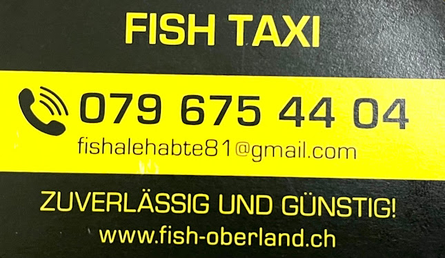 Rezensionen über Taxi Fish Wetzikon in Freienbach - Taxiunternehmen