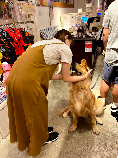 Dog Dept + Cafe Odaiba Tokyo Beach Shop