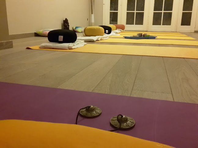 Beoordelingen van Yoga Avec Sophie in Vilvoorde - Yoga studio