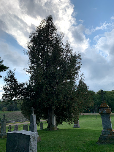 Mosque «Medina Community Center», reviews and photos, 3200 Mill St, Hamel, MN 55340, USA