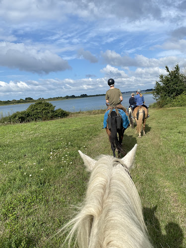 attractions la Calèche de Séné - Balade à cheval Séné