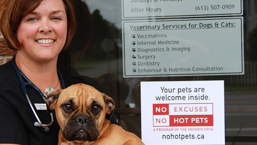 Lakeshore Animal Hospital image
