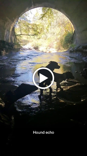 Tourist Attraction «Mill Creek Falls», reviews and photos, Mill Creek Trail, Cleveland, OH 44105, USA