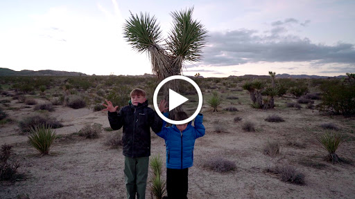 Clothing Store «prAna Denver», reviews and photos, 105 Fillmore St #109, Denver, CO 80206, USA