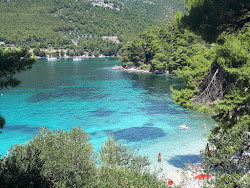 Kremena beach'in fotoğrafı düz bir kıyı şeridi ile birlikte