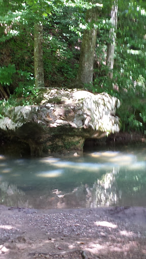 Performing Arts Theater «Pine Knob Theatre», reviews and photos, 2250 Pine Knob Rd, Caneyville, KY 42721, USA