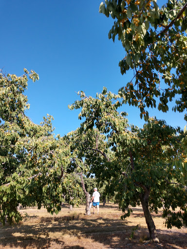 Public Golf Course «Bahle Farms Golf Course», reviews and photos, 9505 E Otto Rd, Suttons Bay, MI 49682, USA