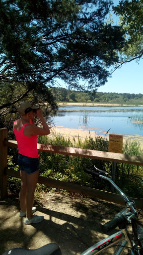 Park «Sanford D. Cox, Sr. Community Park», reviews and photos, 470 Elizabeth Dr, Murrells Inlet, SC 29576, USA