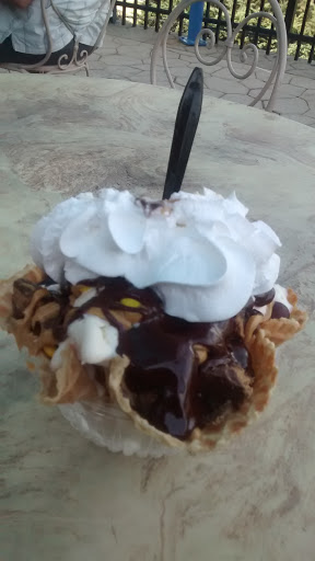 Roller Coaster «Griffon», reviews and photos, 1 Busch Gardens Blvd, Williamsburg, VA 23185, USA