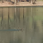 Photo n°14 de l'avis de FELICE.A fait le 18/03/2023 à 19:39 sur le  La Fonte à Monasterolo del Castello