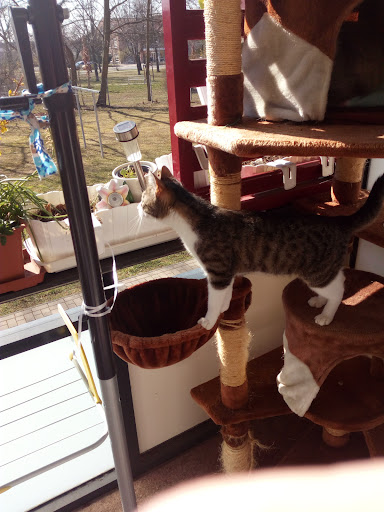 Dr. Jörg Thienel unter Schönewalde, Brandenburg