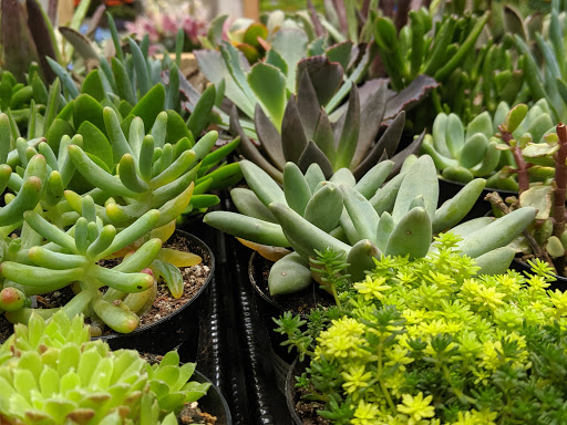 Home Improvement Store «The Home Depot», reviews and photos, 5700 Antioch Rd, Merriam, KS 66202, USA