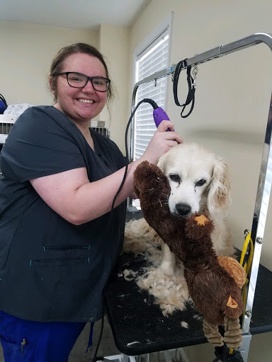 Blackshear Veterinary Hospital